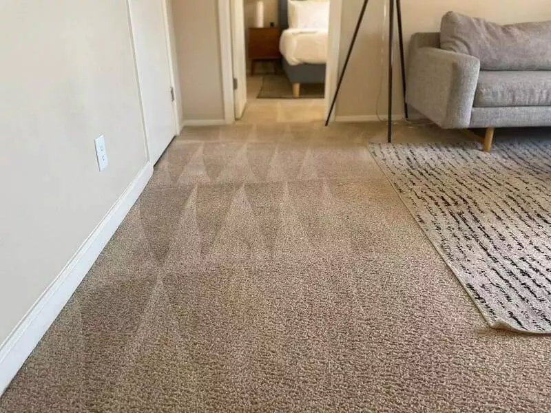 Carpet cleaning in San Diego, California.
