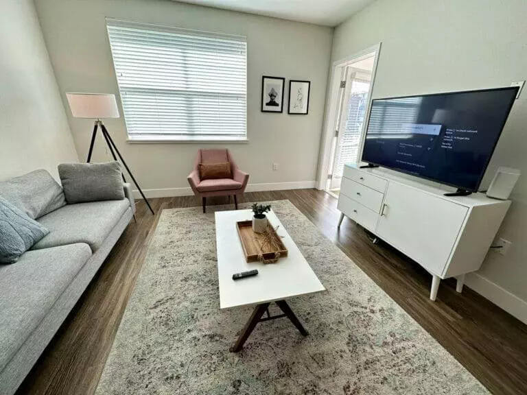 Living room, couch, coffee table.