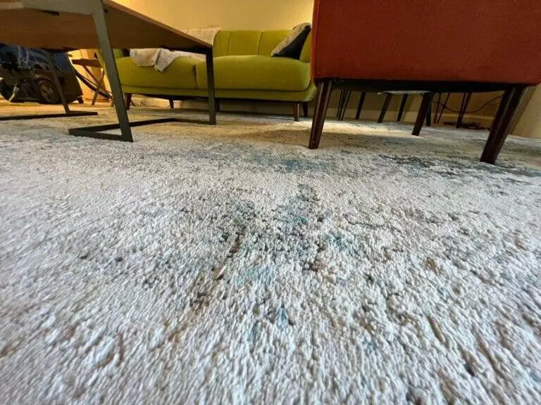 A rug in a living room with coffee spills and carpet stain removal.