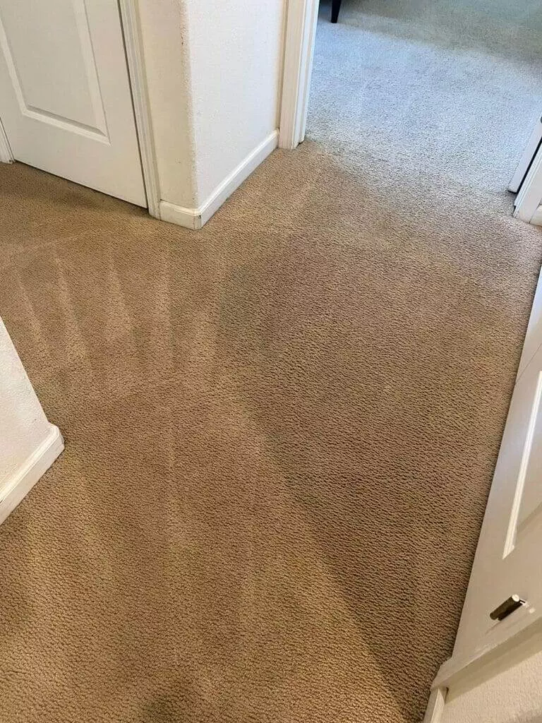 Professional carpet cleaning services specializing in coffee spills and tough pasta stain removal in San Diego, California.