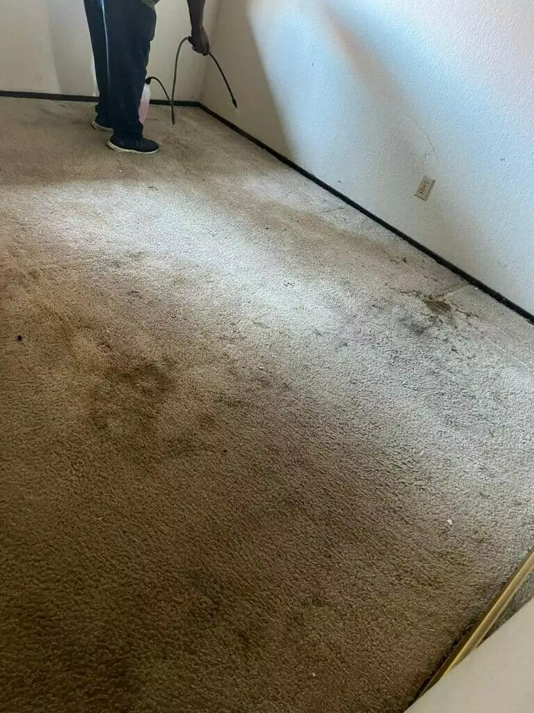 A man cleaning a carpet in his home.