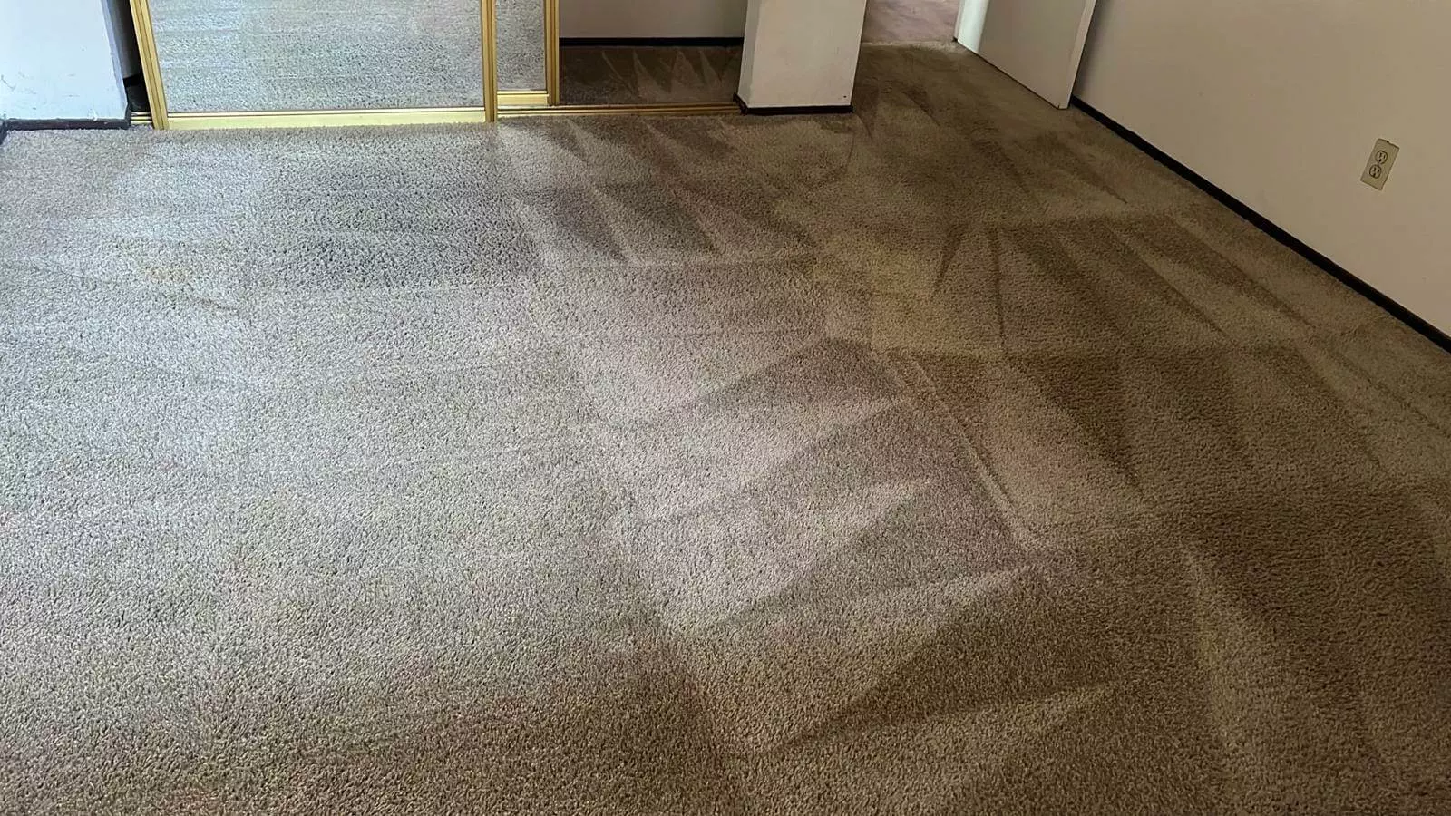 A room with a carpet that has been cleaned of chocolate stains.