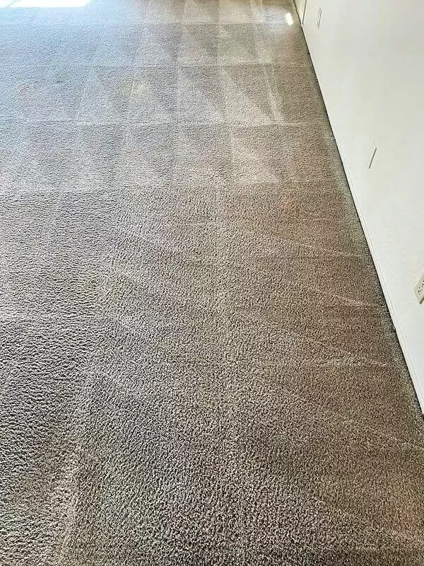 A room with a carpet that has been cleaned, examining the true impact of carpet cleaning on allergies.