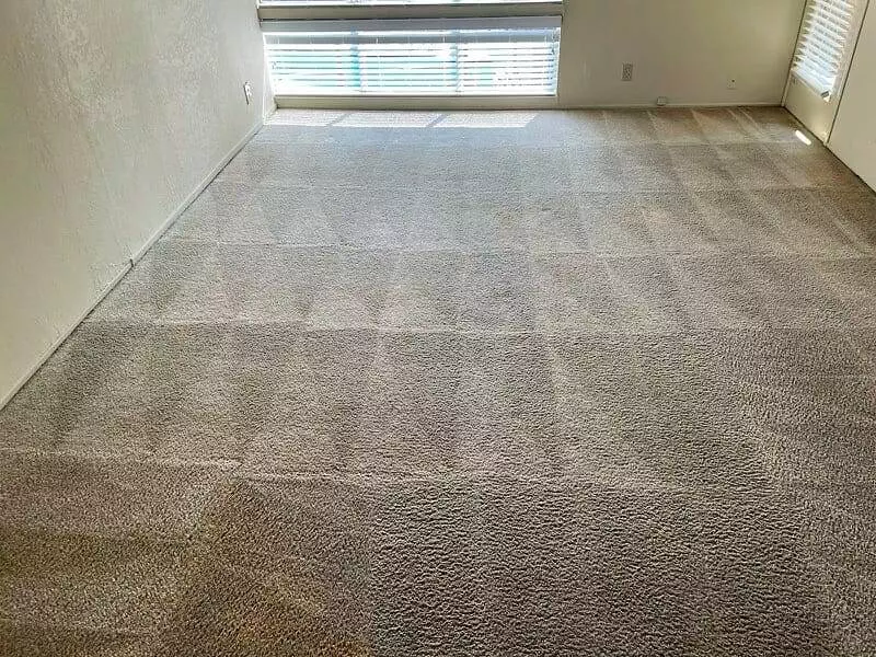 A room with a carpet that has been cleaned may impact allergies.