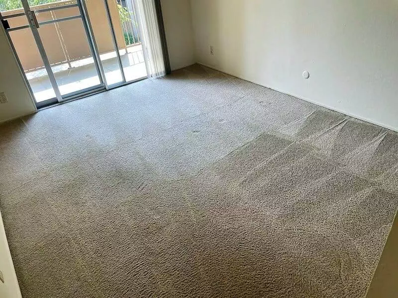 A room with a carpet and a sliding glass door, examining the true impact of carpet cleaning on allergies.