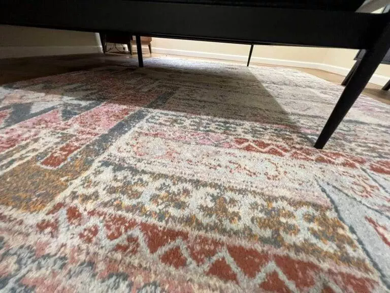 Say Goodbye to Musty Carpets: How to Combat Humidity in San Jose