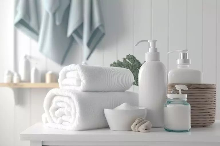 The Secret to a Fresh and Inviting Bathroom: Professional Cleaning Services In Mountain View