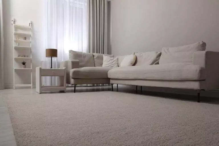 Get Your Carpets Looking Like New Again with Master Clean Bay Area’s Premier Cleaning Services in Menlo Park