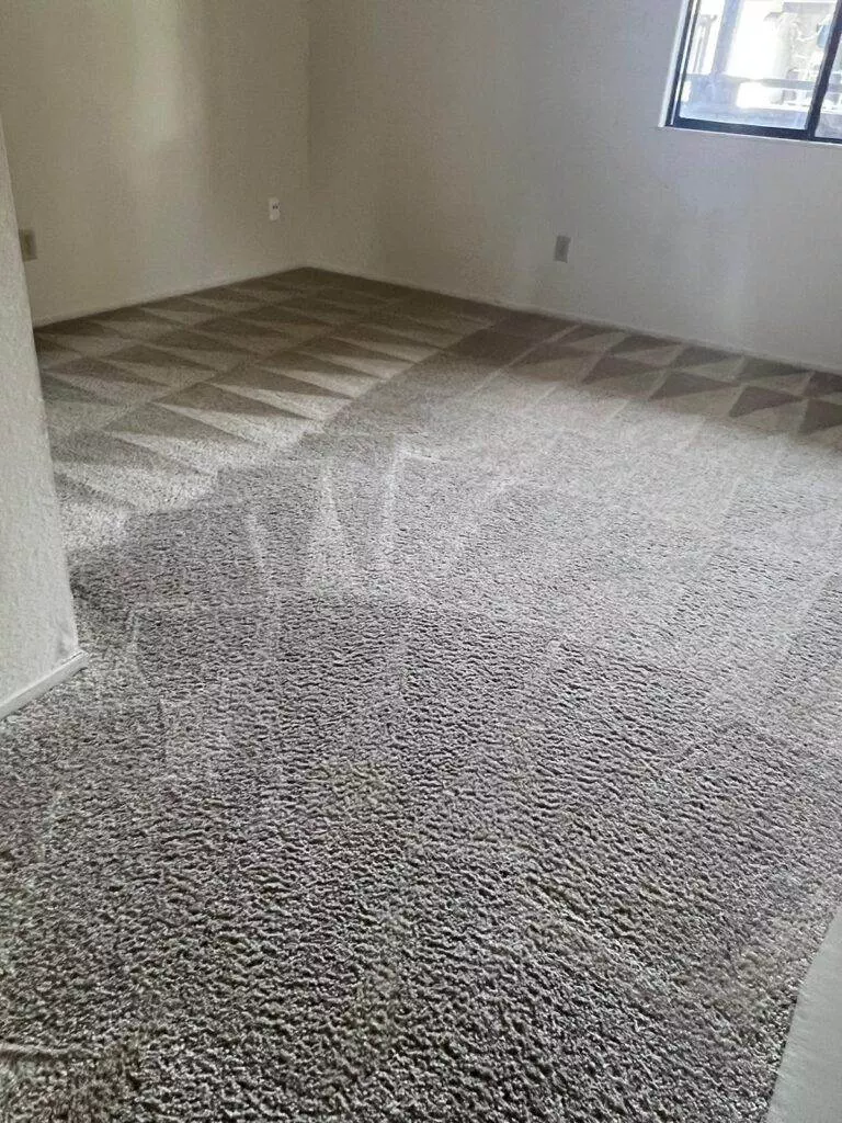 An empty room with sunlight shining on patterned carpet flooring.