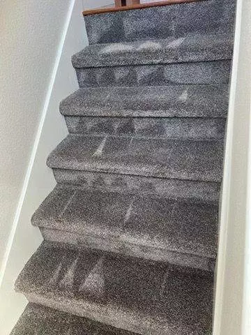 Carpeted staircase with gray speckled carpeting restored by Fremont Carpet Cleaning and white walls, showing a view from the bottom looking upwards.