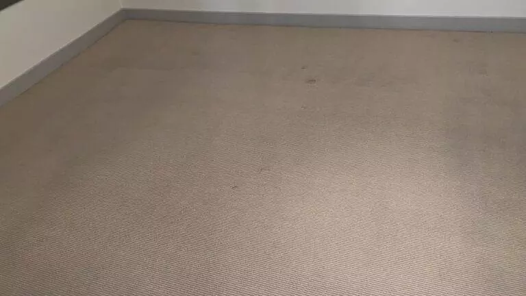 A plain, beige carpeted floor with visible stains and dust, requiring Fremont Carpet Cleaning, is bordered by a white baseboard and a grey wall.