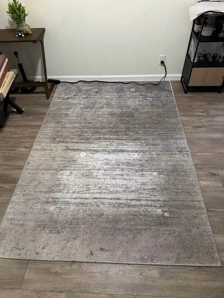 A rectangular area rug with a faded gray design, placed on a wooden floor in a room with minimal furnishings, benefiting from the Master Clean Service for enhanced upkeep.