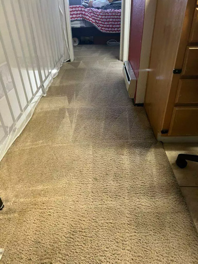 A carpeted hallway leading to a room with a visible bed, bordered by a low wall on the left and a wooden door on the right, maintained by Santa Clara Carpet Cleaning for a healthier living space