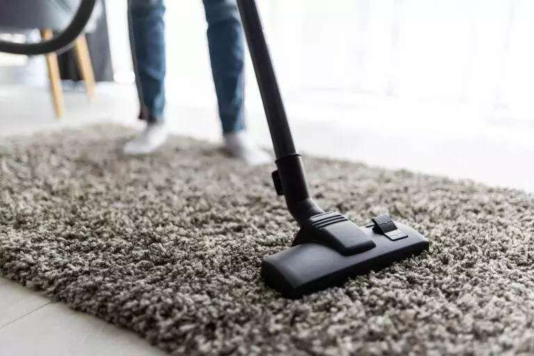 A vacuum cleaner is being used for rug cleaning on a shaggy gray carpet, with a person's legs visible in the background.