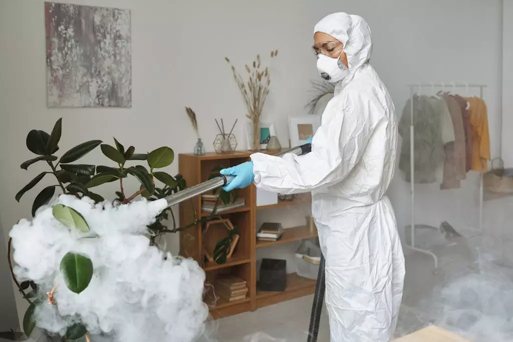 A Woman Disinfecting a Plant