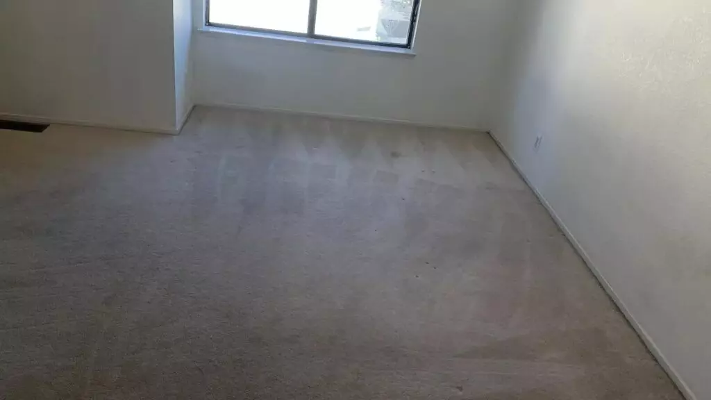 An empty room with white walls and beige carpet with vacuum lines, meticulously deep cleaned, featuring a window on the far wall letting in natural light.