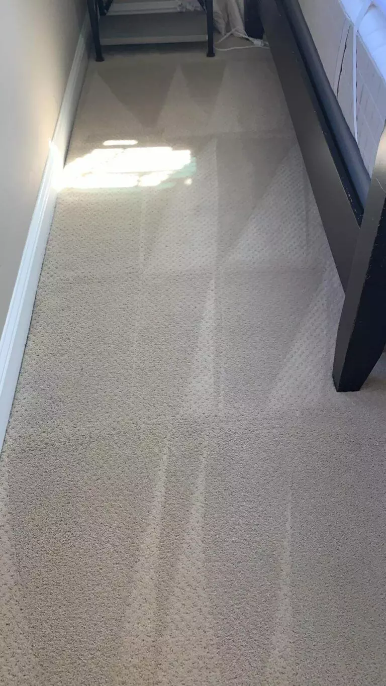 Freshly vacuumed carpet showing parallel lines and geometric patterns of cleanliness beside a bed and nightstand.