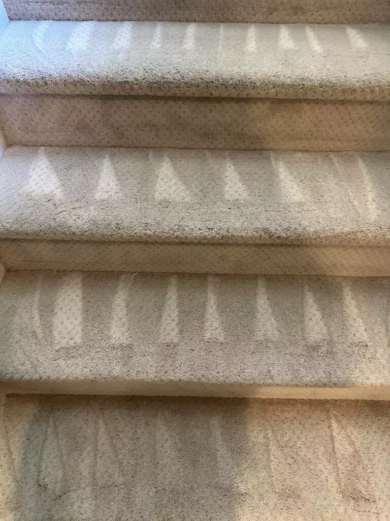 A carpeted staircase displaying vacuum marks in a triangular pattern on each step.