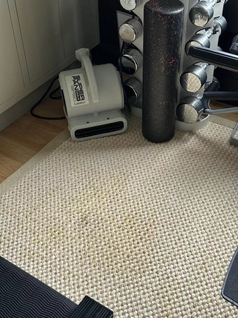 A close-up of a home gym corner showing a white exercise step, a foam roller, and a set of dumbbells on a beige carpet.