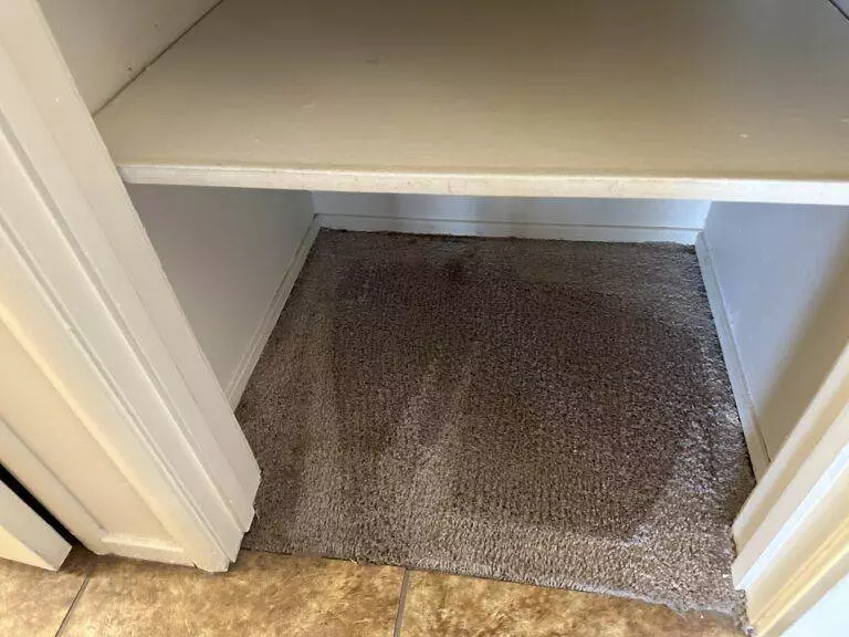 An empty carpeted closet space with a white shelf above it, bordered by white walls and beige tiled flooring outside the closet.