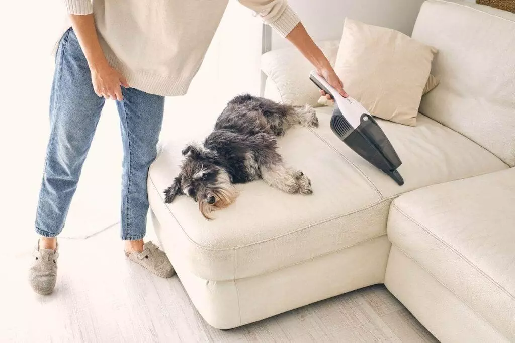 A person is featured vacuuming a cream-colored sofa while a small dog lies relaxed on it, reminiscent of an ApartmentGuide article.